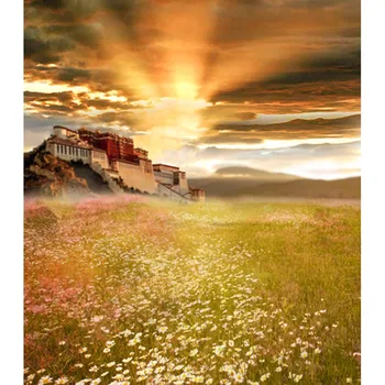 Tibeto Potala saulės foto tapetai vinilo peizažas, portretas santuokos fotografija backdrops foto studija rekvizitas, photocall CM-6775