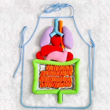 Vaikai Anatomija Prijuostė Žmogaus Kūno Organų Informuotumą Švietimo Žaislai Vaikas Lopšelio Ikimokyklinio Mokslo Homeschool Mokymo priemonių
