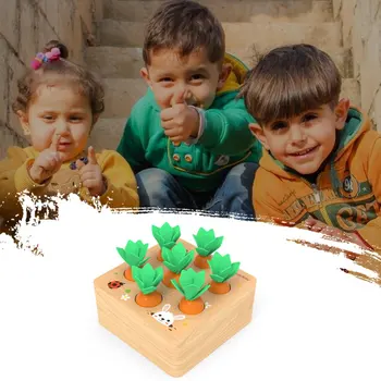 Vaikai Montessori Žaislai Blokuoti Nustatyti Alpinia Formos Atitikimo Žaislai Vaikams, Kūdikiams, Medinės Dydis Pažinimo Morkų Žaidimas Ankstyvojo Ugdymo