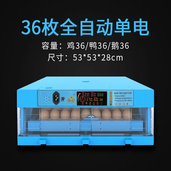 Weizhen Automatinė Protingas Buitinių Mažas Inkubatorius Vištos Antys Žąsys Paukščių Kiaušinius Box Mini