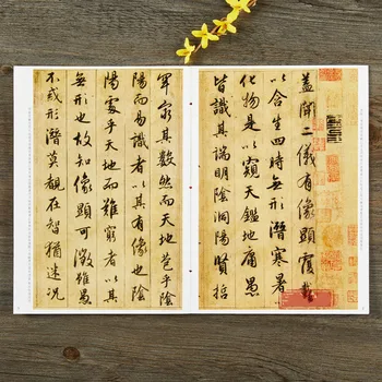 Zhao Mengfu Shengjiao Įvadas Veikia Scenarijų Teptuku Kaligrafija Copybook Surinkimo Kaligrafija Užsiimti Knyga Pradėti Mokiniai