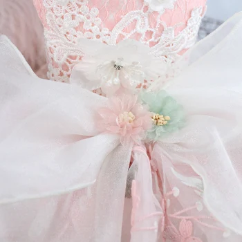 Šunelis Suknelę Rankų darbo Princesė Vestuvių Suknelės Mažylis Drabužius Didelis Lankas-mazgas Siuvinėjimo Maži Šunys Čihuahua Pudelis Tutu Suknelė