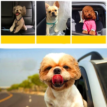 Šunų reikmenys mažų automobilių saugos diržų nailono pavadėlio harnais supilkite chien naminių reikmenys arnes perro mediano tikrąją meilę šunims diržas