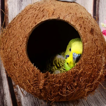 Žaislai, Gamtos Namo Apdaila Šiltas Paukštis Narve Namuose Žiurkėno Voverė Papūga Lizdą Veisimo Papūga Patvarus Kokoso Lukšto Finansuojančiojo