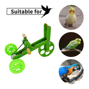 Žalia mokymo dviračių papūga mokymo žaislas, aksesuarų mini dviračių žaislas paukščiui mokymo reikmenys, tinka papūgos ir paukščiai